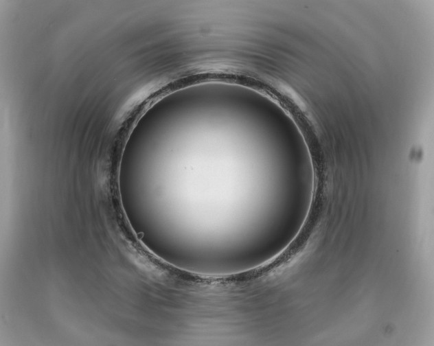 X0000092000922200709061436