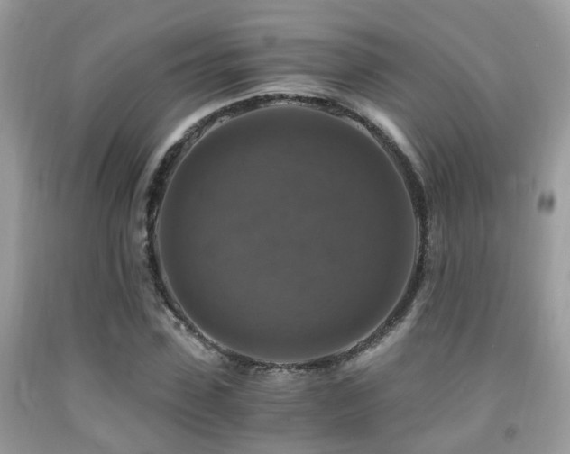 X0000092000923200709061436