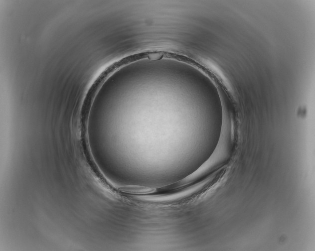 X0000092000924200709061436