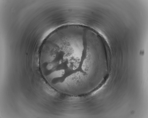 X0000092000925200709061436