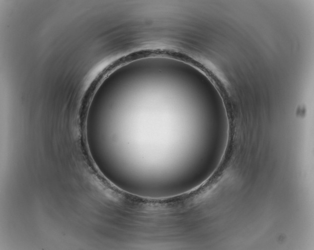 X0000092000927200709061436