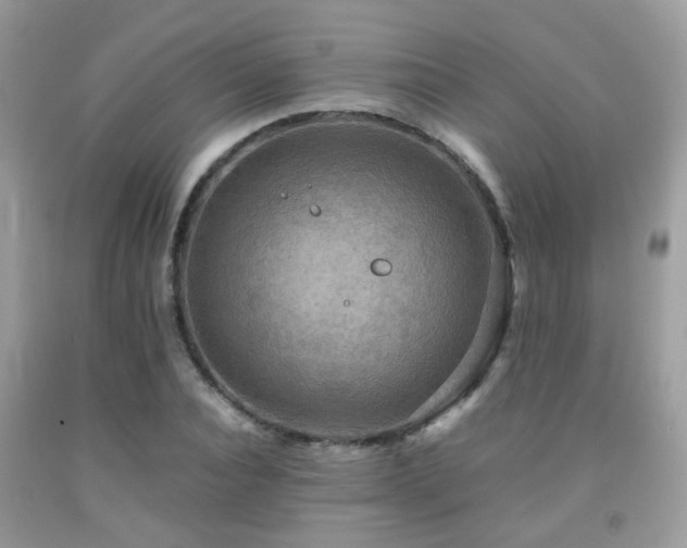 X0000092000928200709061436