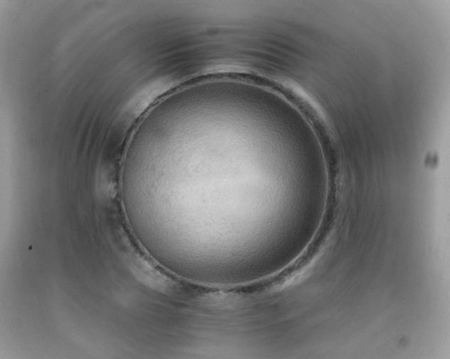 X0000092000929200709061436