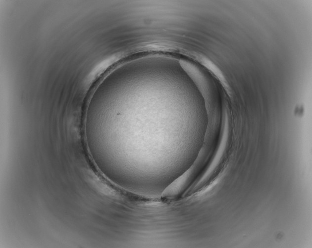 X0000092000930200709061436