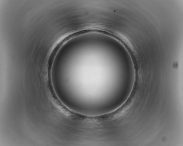 X0000092000931200709061436