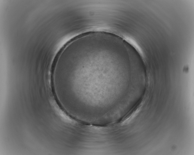 X0000092000932200709061436