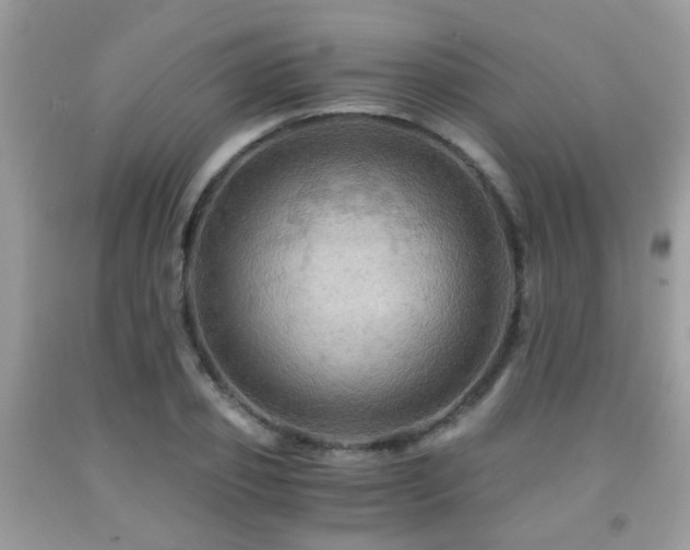 X0000092000933200709061436