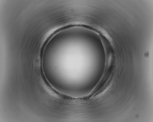 X0000092000934200709061436