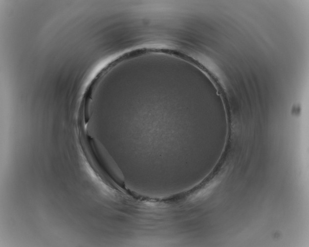 X0000092000935200709061436