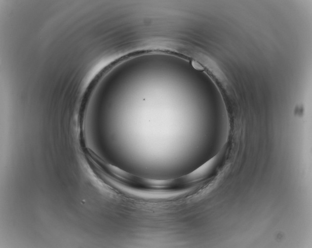 X0000092000936200709061436