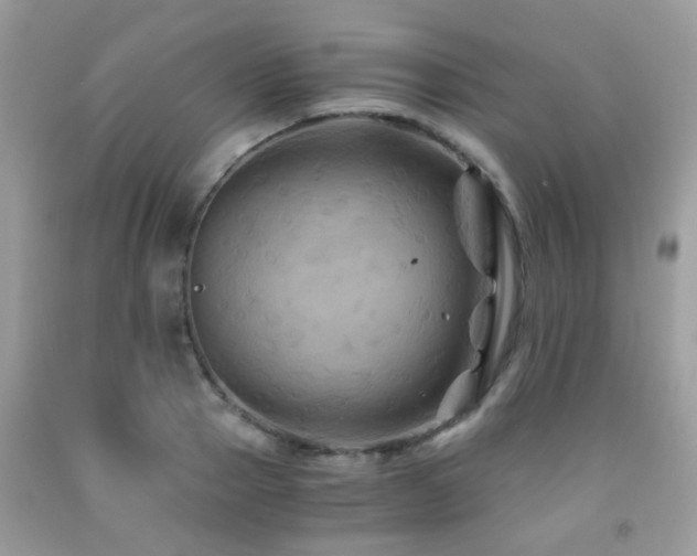 X0000092000937200709061436