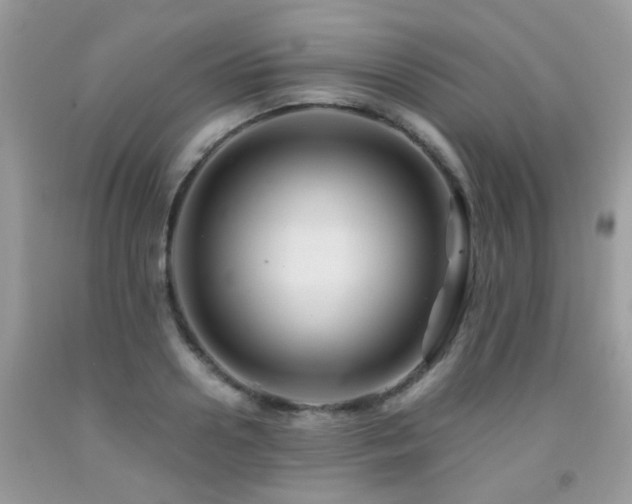 X0000092000938200709061436