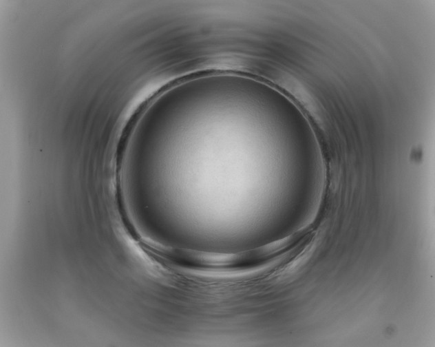 X0000092000939200709061436