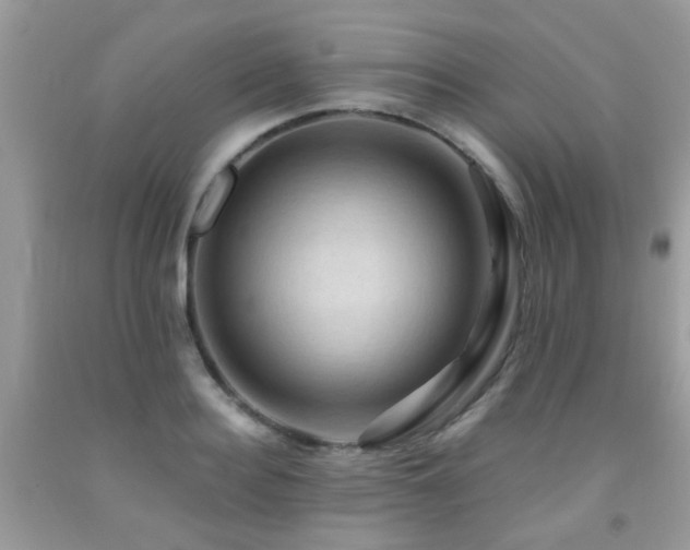 X0000092000940200709061436