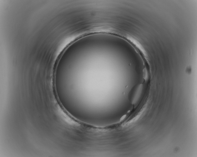 X0000092000941200709061436