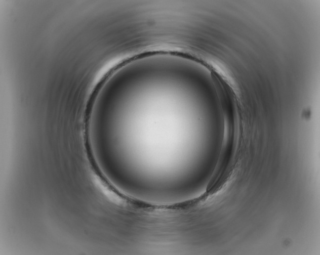 X0000092000942200709061436