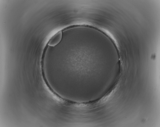 X0000092000943200709061436