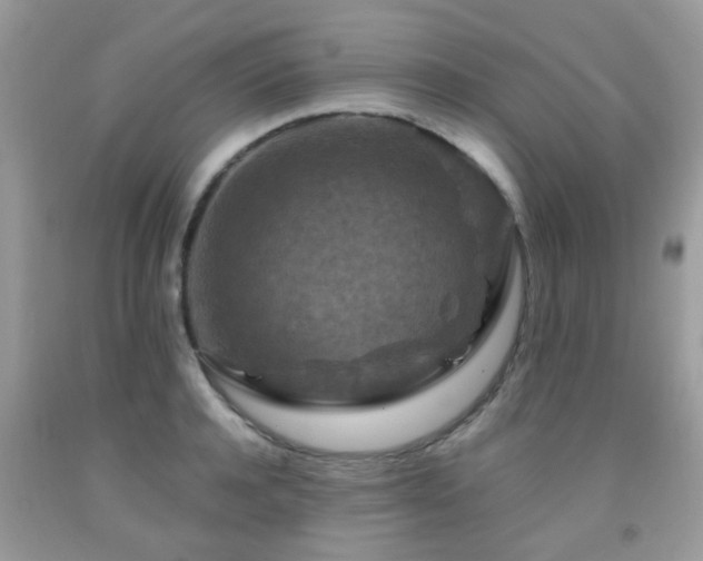 X0000092000944200709061436