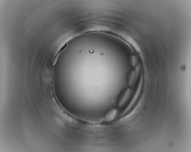 X0000092000945200709061436