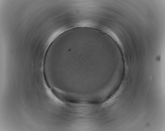 X0000092000946200709061436