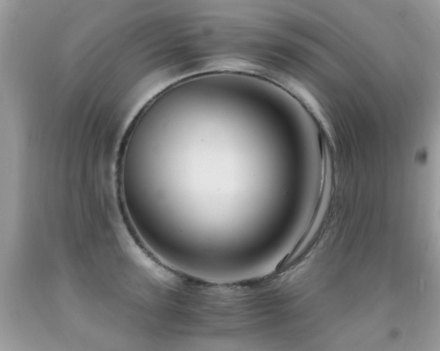 X0000092000947200709061436