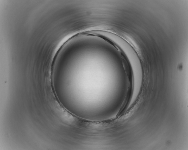 X0000092000948200709061436