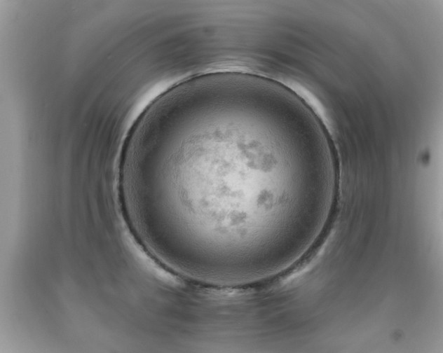 X0000092000949200709061436