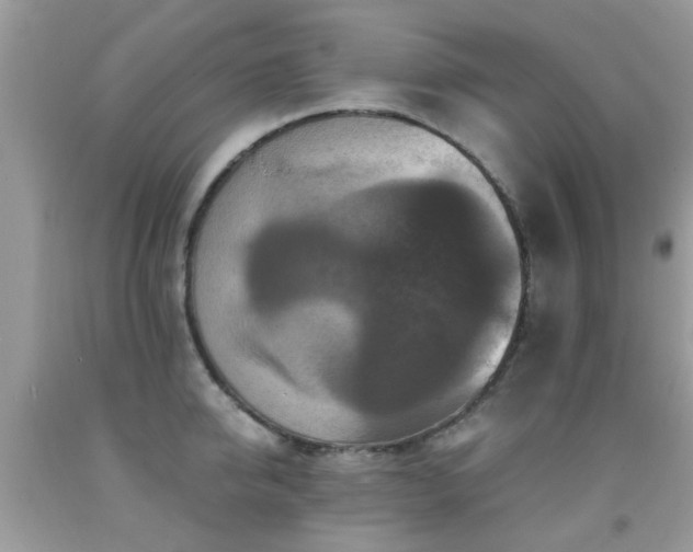 X0000092000950200709061436