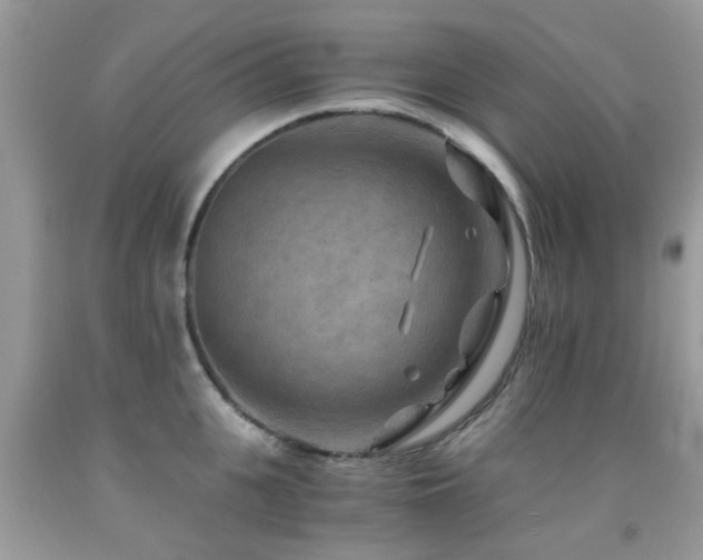 X0000092000951200709061436