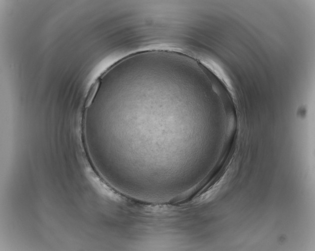 X0000092000952200709061436