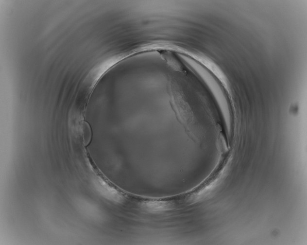 X0000092000953200709061436