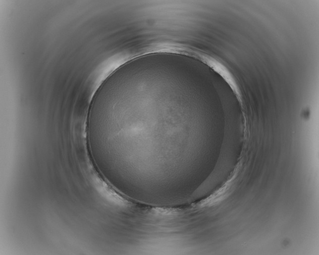 X0000092000954200709061436