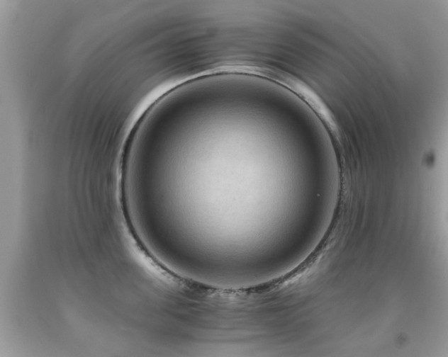 X0000092000955200709061436