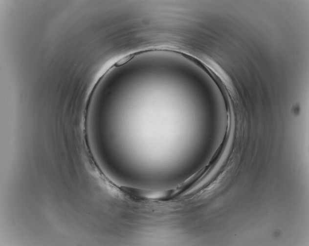 X0000092000956200709061436