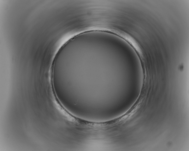 X0000092000958200709061436