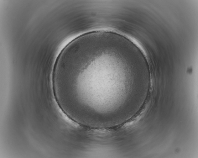 X0000092000959200709061436