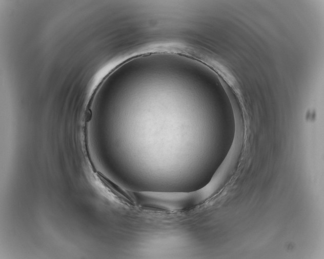 X0000092000960200709061436