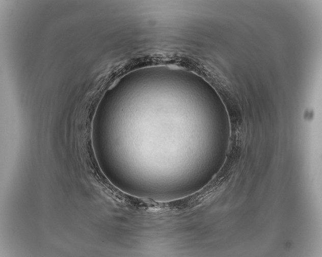 X0000092000961200709061435