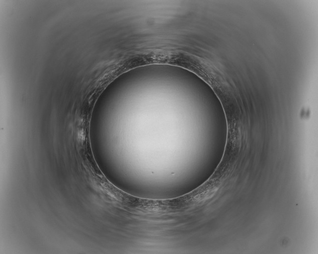 X0000092000962200709061435
