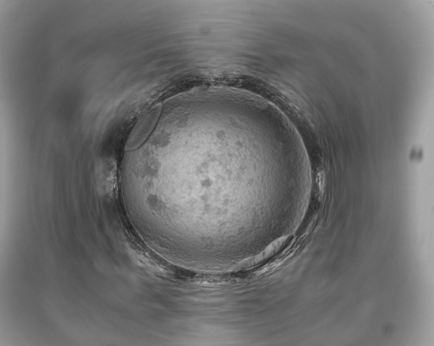 X0000092000963200709061435