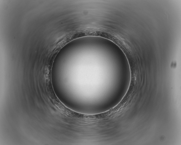 X0000092000964200709061435