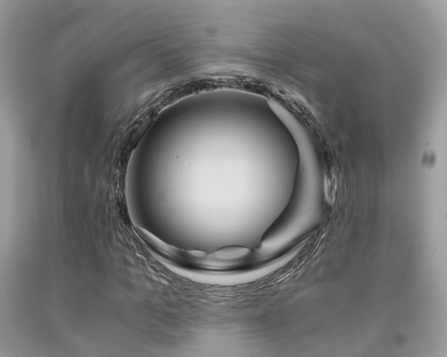 X0000092000965200709061435