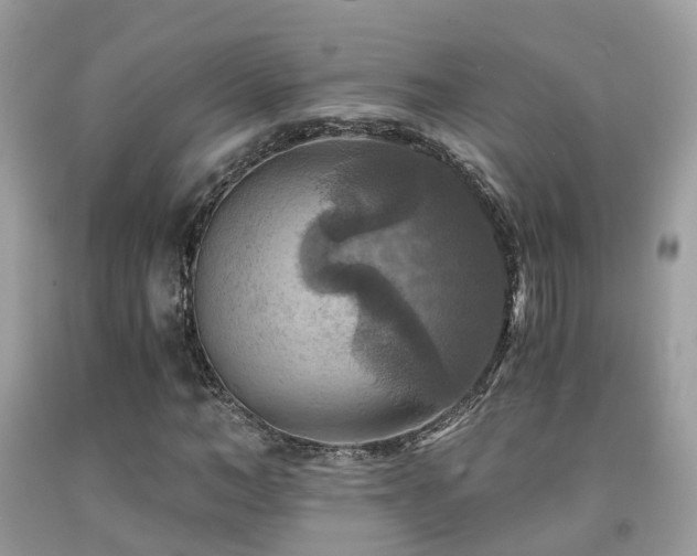 X0000092000966200709061435