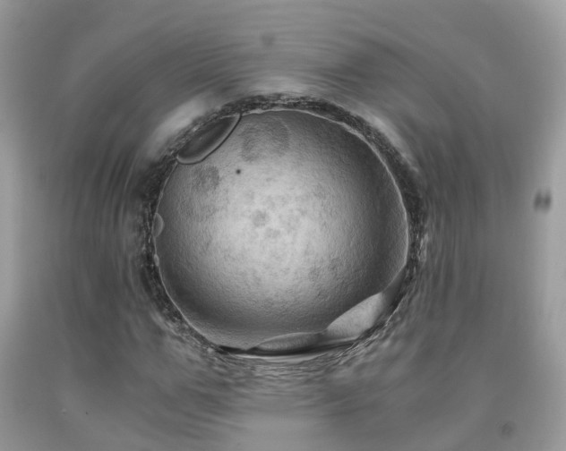 X0000092000967200709061435