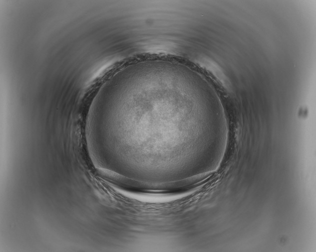 X0000092000968200709061435