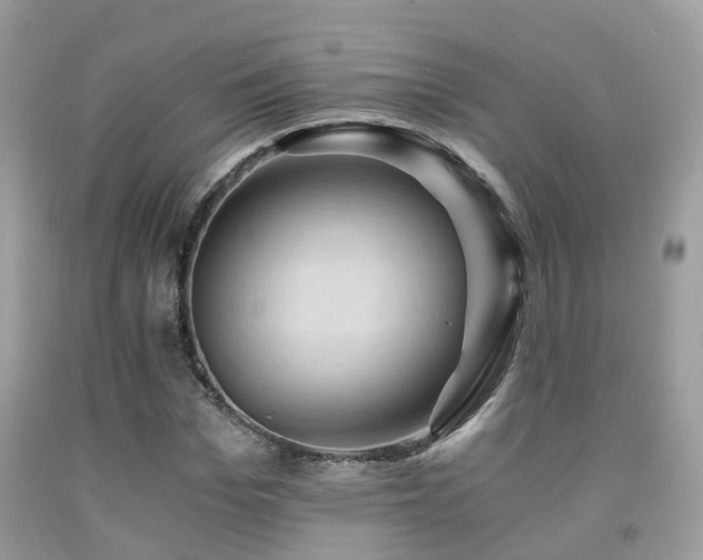 X0000092000969200709061435