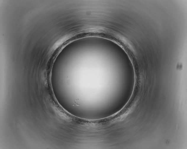 X0000092000970200709061435