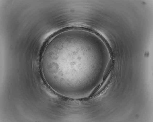 X0000092000971200709061435