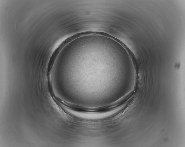 X0000092000972200709061435