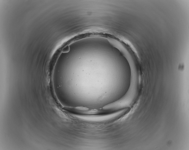 X0000092000973200709061435